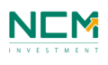 شركة NCMINVEST