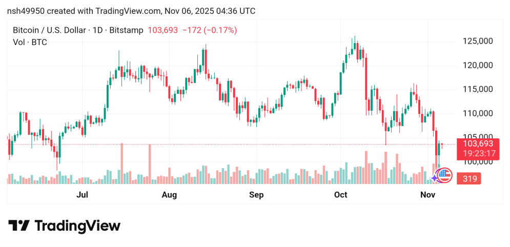 تراجع سعر البيتكوين مقابل الدولار BTCUSD توقعات اليوم6/11/2025