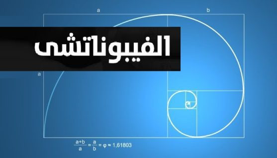 ارتداد فيبوناتشي: الدليل الكامل للمتداولين العرب