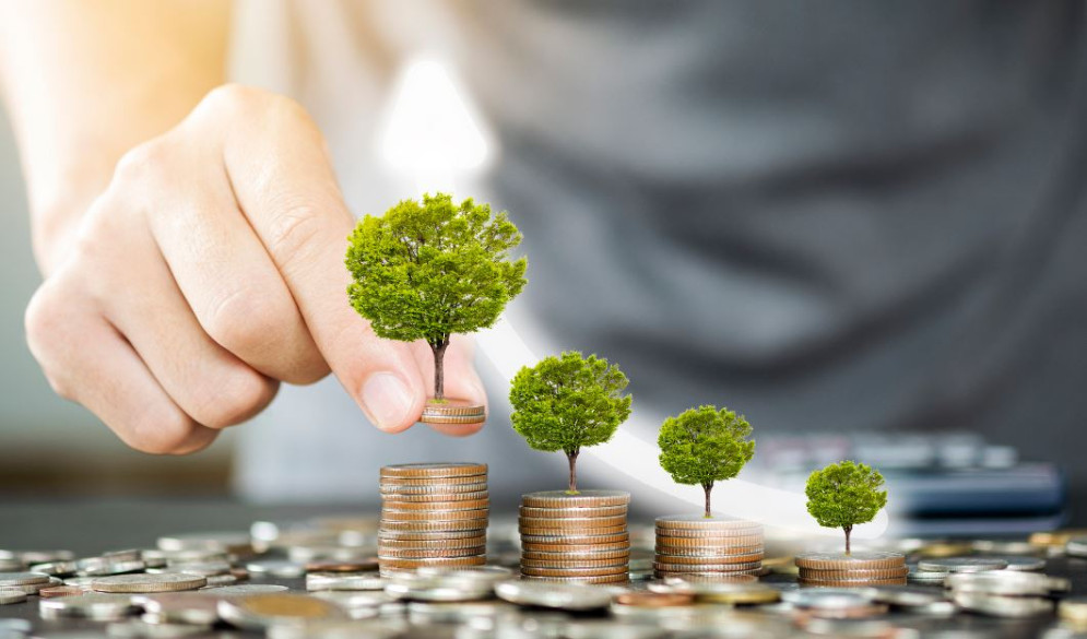 ما الفرق بين المضاربة والاستثمار.. أيهما يحقق ربح أسرع؟
